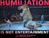 Zoo 16 Message - Zoos Humiliation