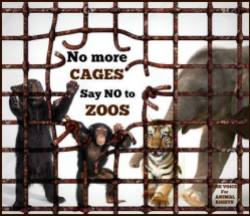 Zoo 17 Message - Zoos no more cages