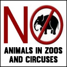 Zoo 18 Message - Zoos no