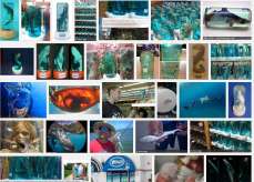 69 Oceans and rivers - Sharks baby in bottle Gsearch