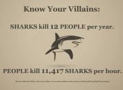 71 Oceans and rivers - Sharks kill 12 people per year