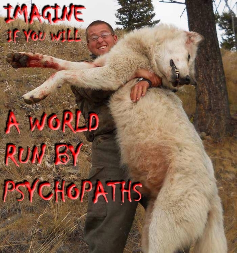 Trophy hunters - Psychos imagine a world wolf white 01